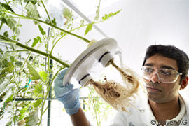 Bayer Pflanzenschutz