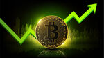 Die Gewinner der nächsten Bitcoin-Rallye!
