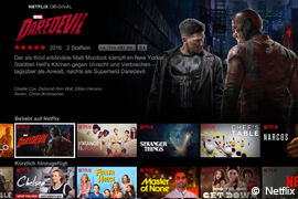 Netflix Streaming-Portal