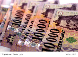 Ungarischer Forint - EUR/HUF